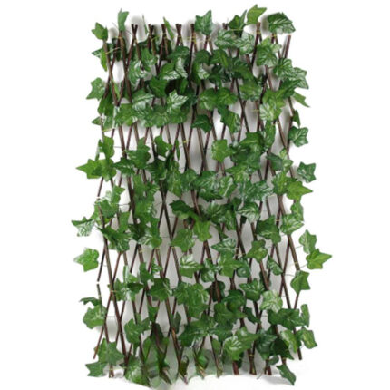 Ograda Ukrasni Bršljan 120cm