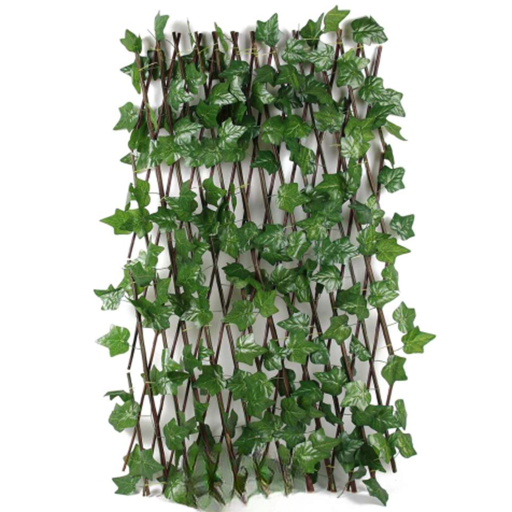 Ograda Ukrasni Bršljan 120cm