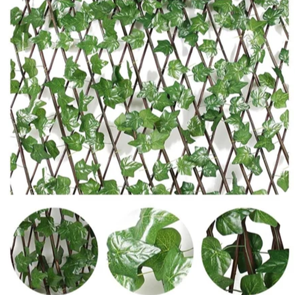 Ograda Ukrasni Bršljan 120cm - Image 2