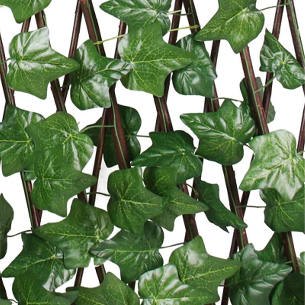 Ograda Ukrasni Bršljan 120cm - Image 3