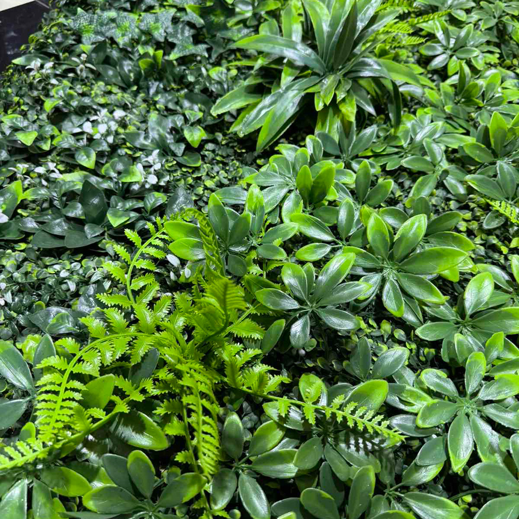 Zeleni zid 1mx1m - Dekorativno zelenilo - Image 2