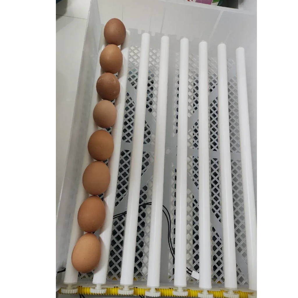 Automatski Inkubator Za Jaja - Image 5