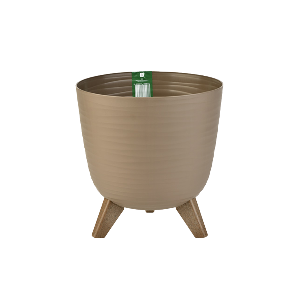 Saksija Ancona - Image 2