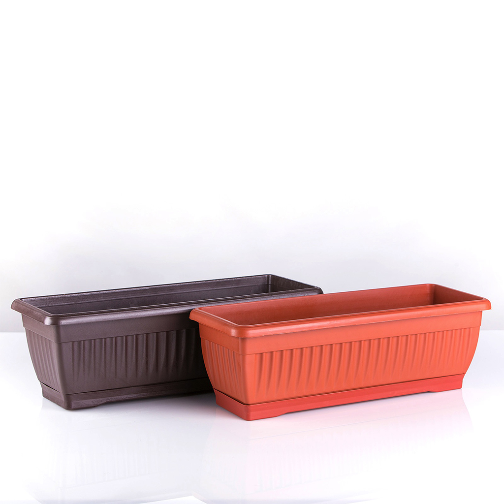 Zardinjera Mediteran