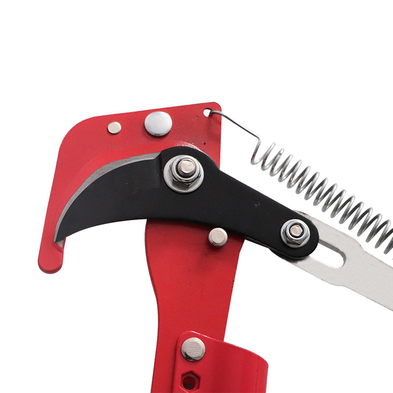 Pila za Grane - Image 4