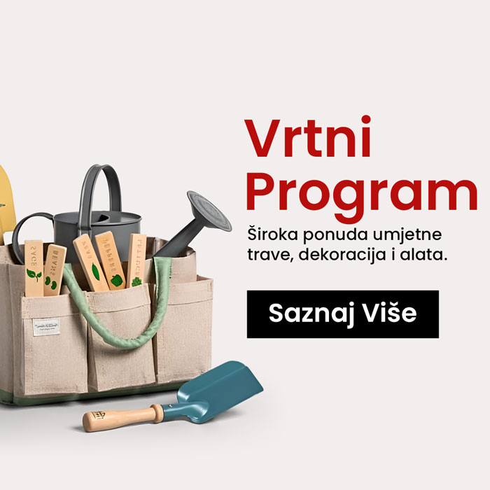 VProgram 2